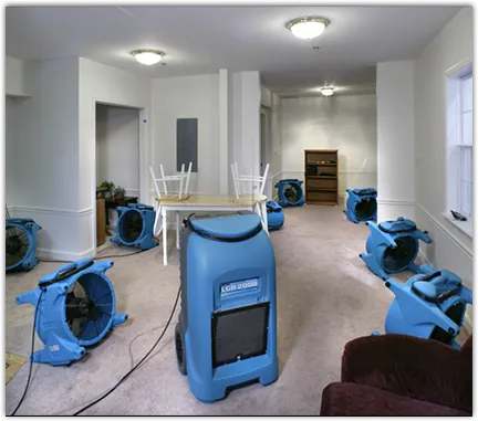 Water Damage Restoration services in Roseville, MI